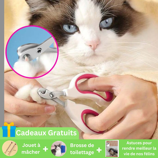 Coupe Ongle chat | Coupe ongle chat précision et tendresse ™