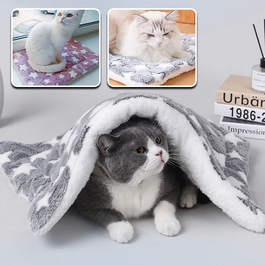 Couverture pour chat confort