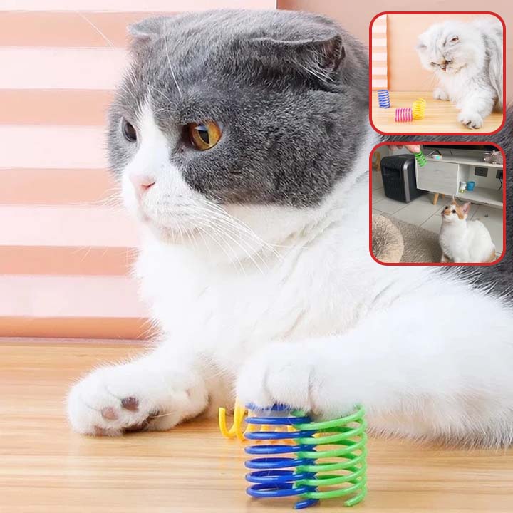 Jouet pour Chat Ι Jeu Ressort™