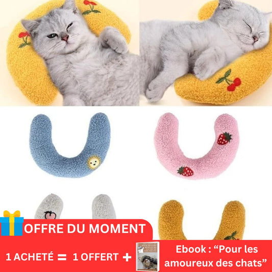 Coussin ergonomique™ - Chatminou Store